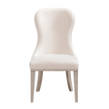 Lofton Side Chair - transparent product image
