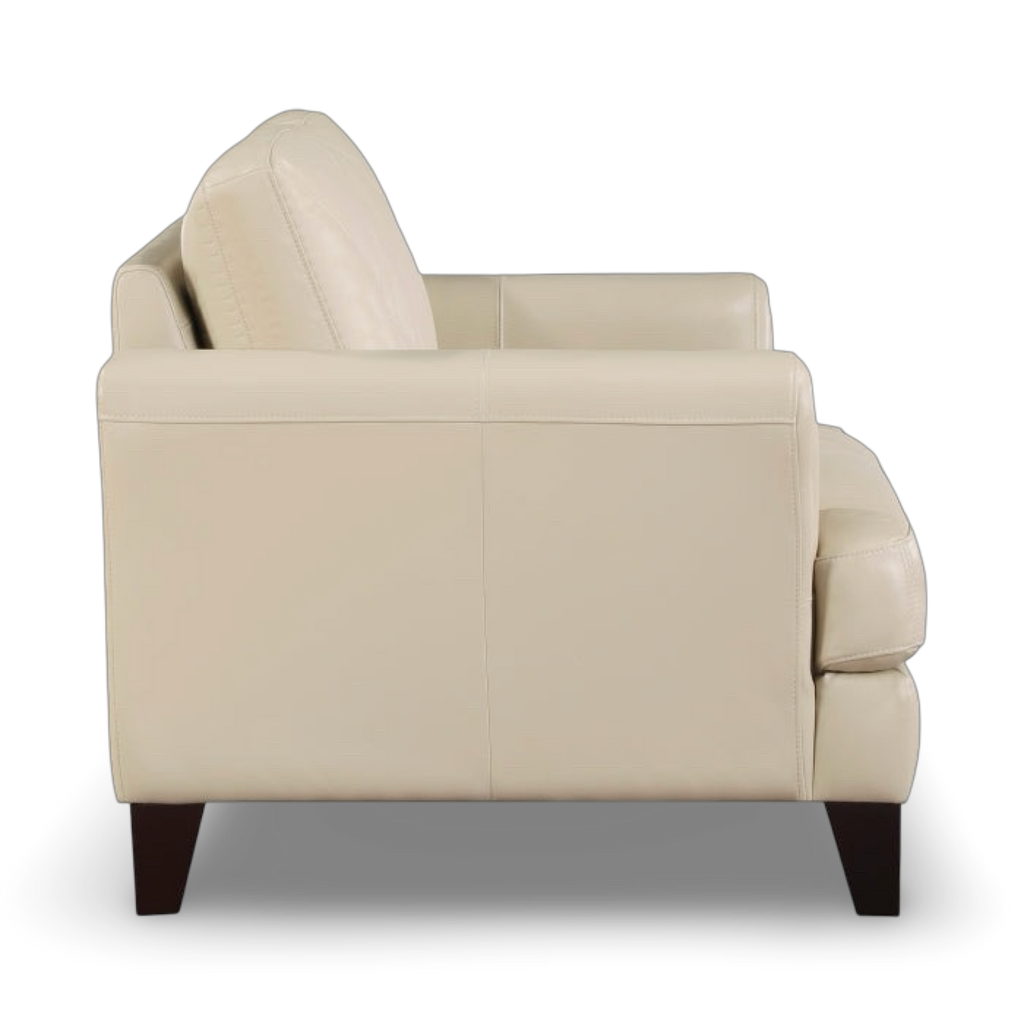 AC-Thierry Leather Arm Chair