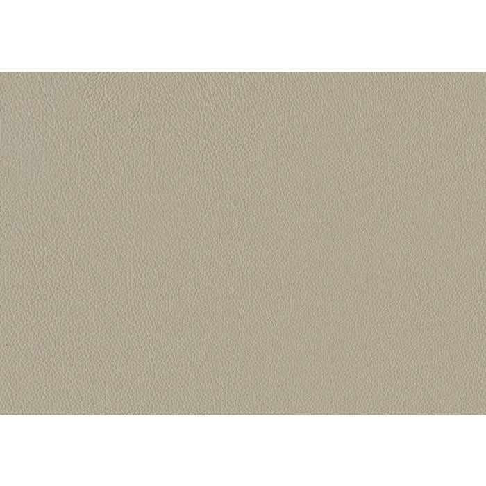 Maroni Power Reclining Loveseat — Taupe Power