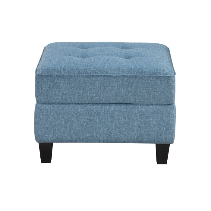 Garren Ottoman with Storage