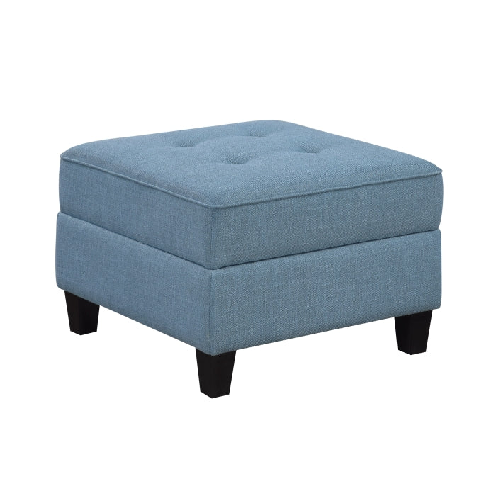 Garren Ottoman with Storage