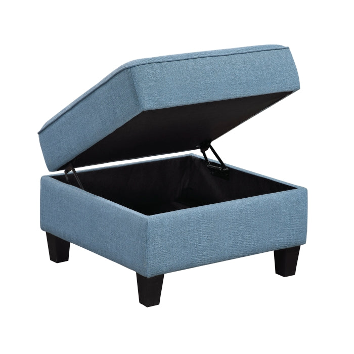 Garren Ottoman with Storage