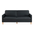 Carlton Convertible Sofa Bed (9730BLK-3CL)