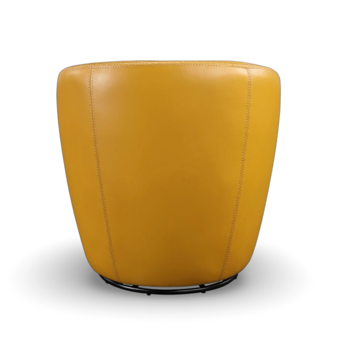 AC- Tanner Leather Swivel Chair - product image 9